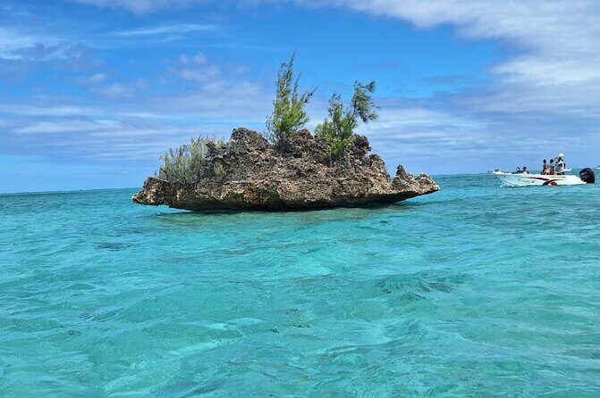 Exciting Dolphin encounters in the Maurtius's lagoon - FAQ