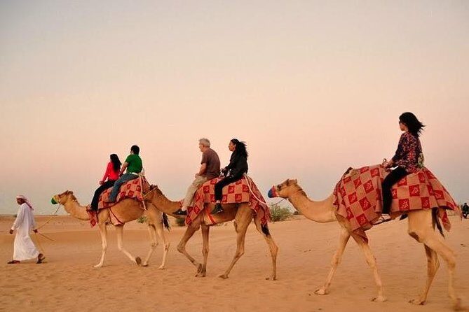 Exciting Dubai Dune Buggy Safari & Sand Boarding & BBQ Dinner & Belly Dance Show - The Sum Up
