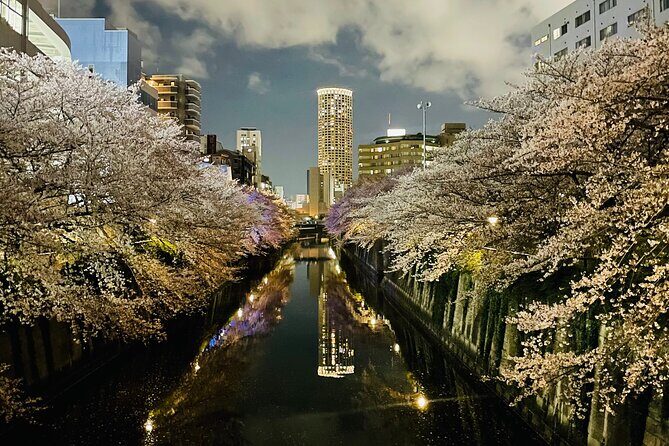 Exciting Evening of Eats in Tokyo - Why This Tour Stands Out