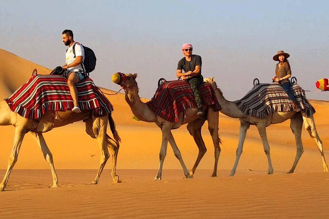 Exclusive 1-day Jaisalmer Tour with High End SUV. - The Itinerary in Detail