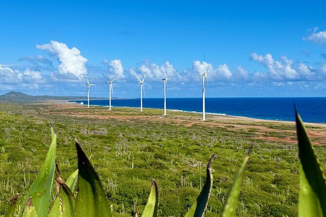 Exclusive 4 -Hour Private nature Tour: West Curacao's Best - What Travelers Say