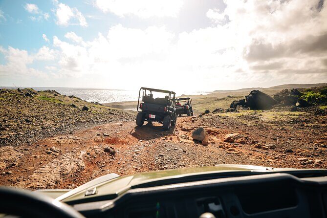 Exclusive Aruba UTV Rentals - An In-Depth Look at the Aruba UTV Rental Experience