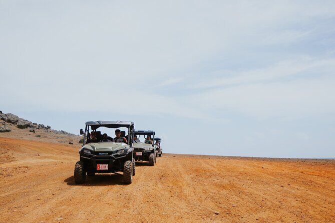 Exclusive Aruba UTV Tours - Who Will Love This Tour?