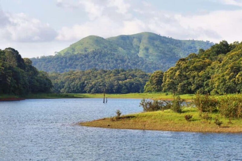 Exclusive, Backwater of Kerala & Houseboat Tour (06 Days) - Day 4: From Munnar to Periyar—Wildlife and Spices