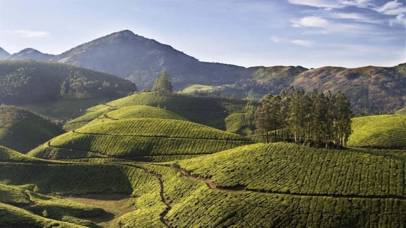 Exclusive, Backwater of Kerala Tour (04 Nights - 05 Days) - Who Would Benefit Most from This Tour?
