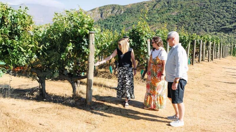 Exclusive Classic Wine Tour - Who Will Love This Tour?