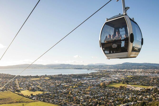 Exclusive Day Trip from Te Puia to Wine Tasting and Redwoods - In-Depth Review of the Tour: What to Expect