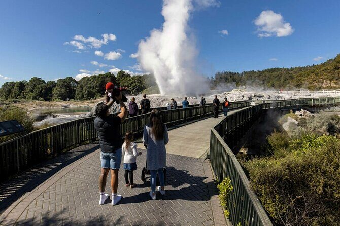 Exclusive Day Trip from Te Puia to Wine Tasting and Redwoods - Who This Tour Is Best For