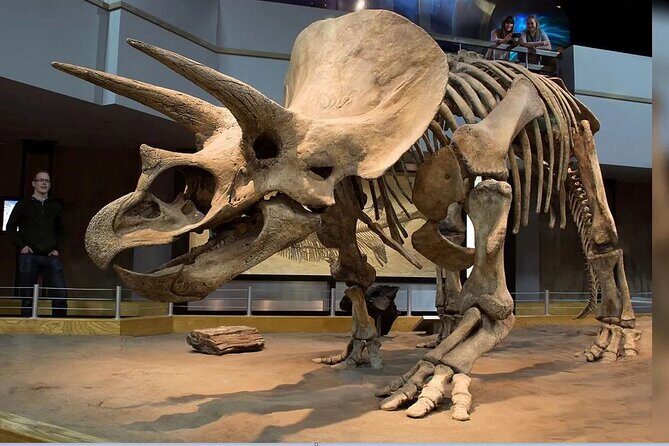 Exclusive Drumheller Private Tour from Calgary - From Calgary to the Dramatic Badlands: A Scenic Start