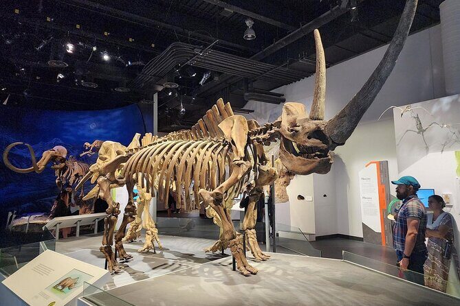 Exclusive Drumheller Private Tour from Calgary - The Natural Marvels: Hoodoos and Suspension Bridge