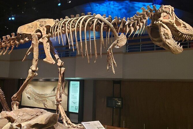 Exclusive Drumheller Private Tour from Calgary - The Practical Side: What to Expect
