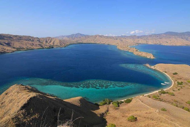 Exclusive Early Bird Komodo Tour: Beat the Crowds by Speed Boat - A Detailed Look at the Tour Experience