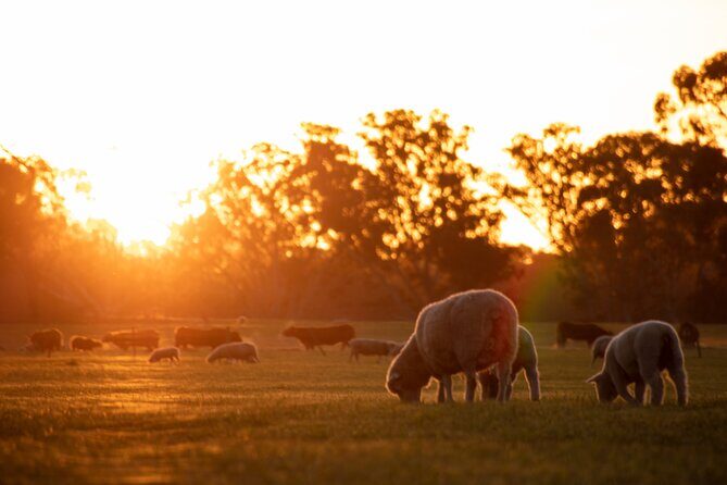 Exclusive Farm Experience - The Sum Up: Is the Exclusive Farm Experience for You?