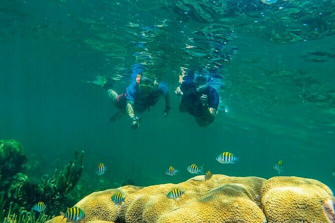 Exclusive Full Day Nature Expedition in Sian Ka'an - The Value Proposition
