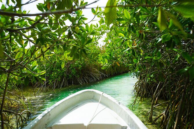 Exclusive Full Day Nature Expedition in Sian Ka'an - The Sum Up