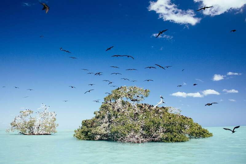Exclusive Full Day Nature Expedition in Sian Ka'an - The Experience in Detail