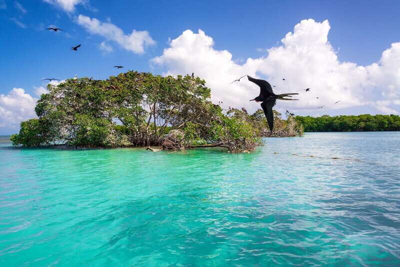 Exclusive Full Day Nature Expedition in Sian Ka'an - The Sum Up