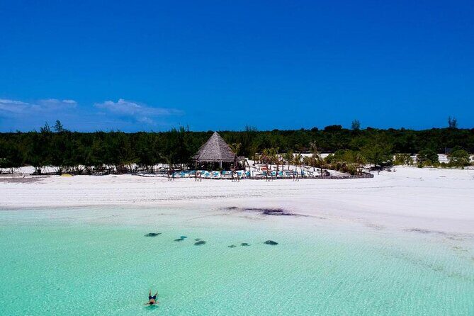 Exclusive Full-Day Zanzibar Adventure: Jozani Forest, Hidden Gems - The Sum Up