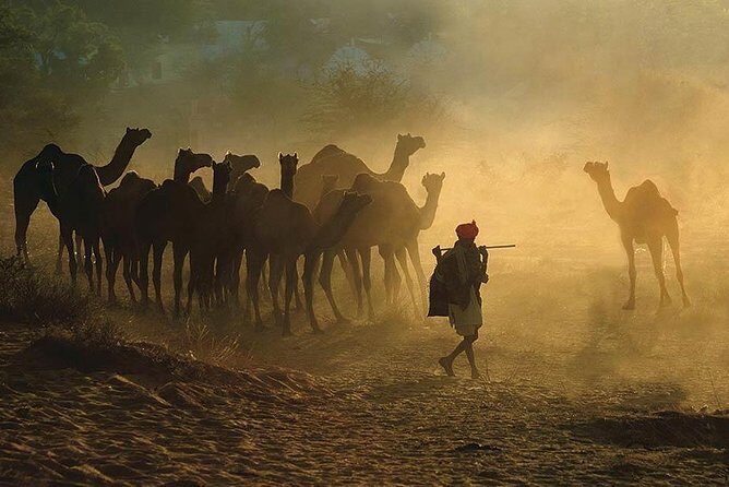Exclusive: Guided Pushkar Day Trip from Jaipur - The Transportation & Timing