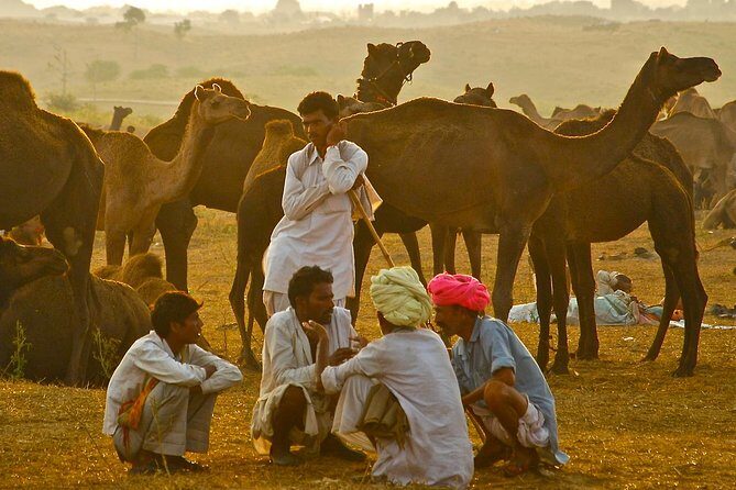 Exclusive: Guided Pushkar Day Trip from Jaipur - FAQs