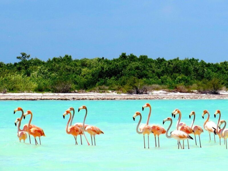 Exclusive Holbox: Yalahau, Punta Mosquito and Isla Pasion - An In-Depth Look at What You Can Expect