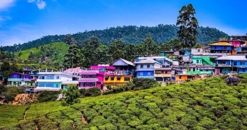Exclusive Kerala Beauty, Munnar Hill Station Overnight Tour - An Overview of the Tour Experience