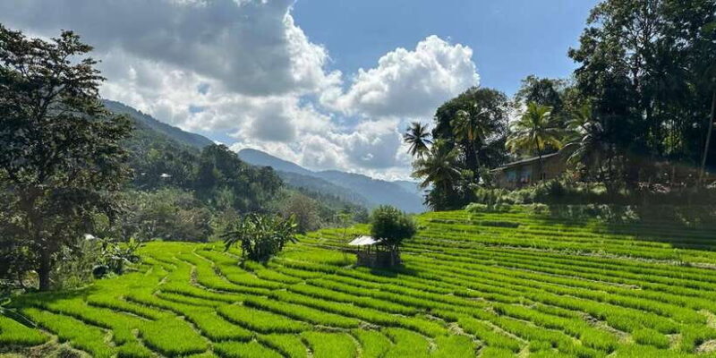 Exclusive knuckles Camping Tour from kandy - Key Points