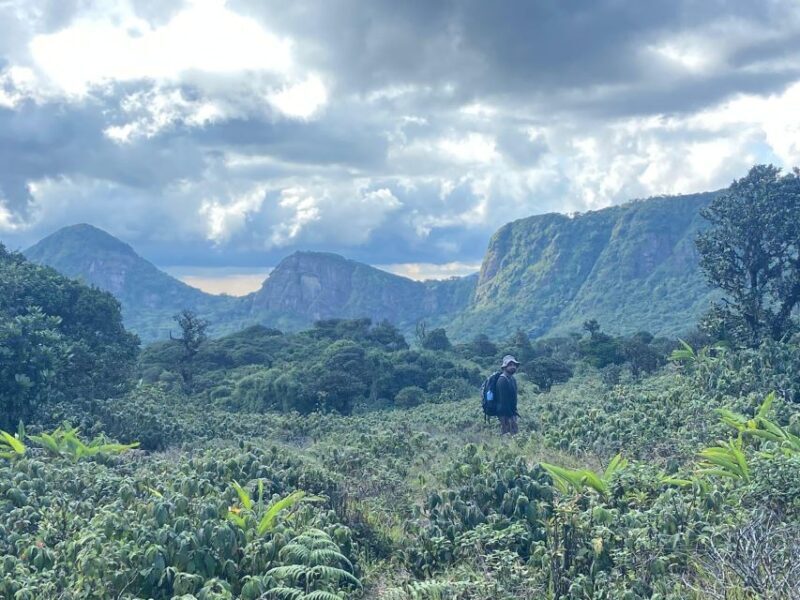 Exclusive knuckles Camping Tour from kandy - Practical Considerations and Value