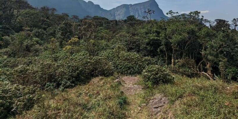 Exclusive knuckles Camping Tour from kandy - What Others Are Saying