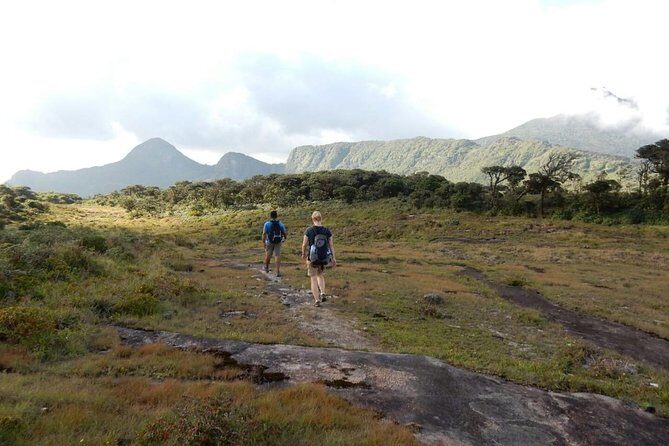 Exclusive knuckles Camping Tour from kandy - The Itinerary in Detail