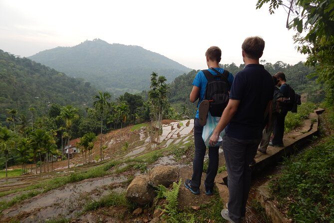 Exclusive knuckles Camping Tour from kandy - Authentic Encounters & Reviews