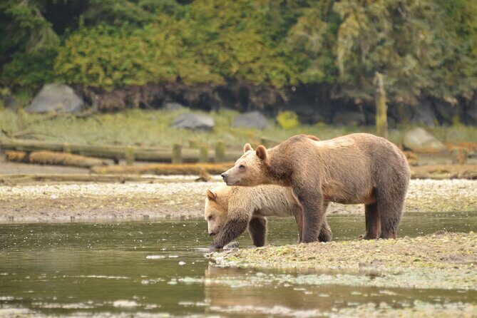 Exclusive Locations Private Bear Viewing - FAQ
