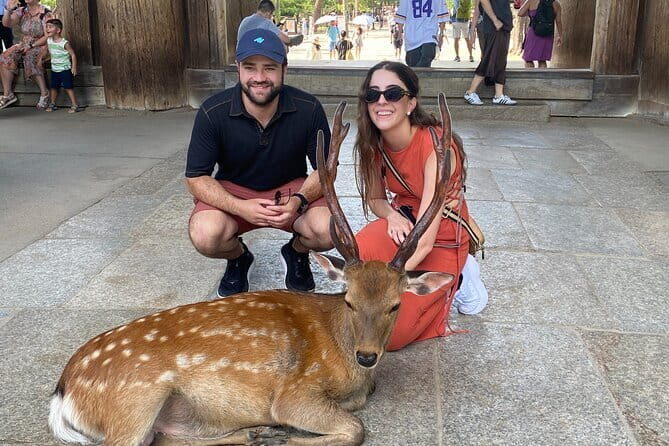 Exclusive Luxury Day Tours Serene Nara - Who Should Consider This Tour?