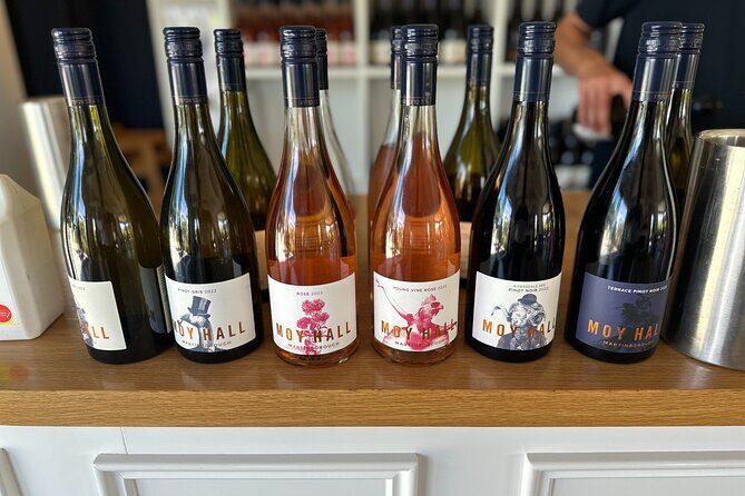 Exclusive Martinborough Wine Tour - An In-Depth Look at the Tour Itinerary