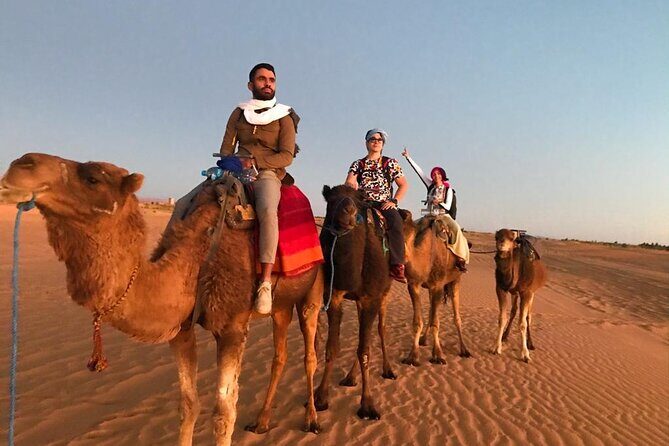 Exclusive Merzouga Desert Safari: Camel Ride, Sandsurf & Dinner - Key Points