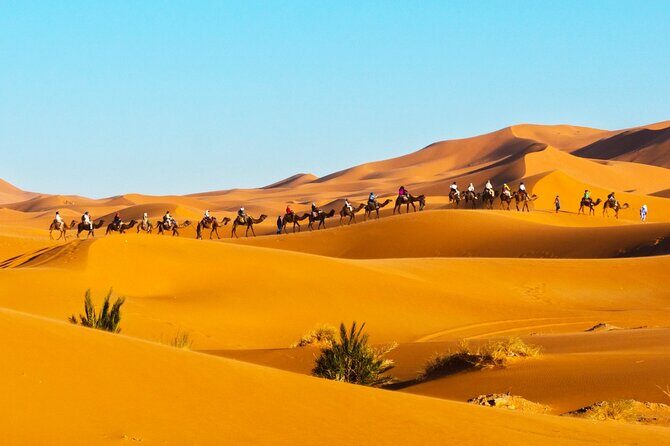 Exclusive Merzouga Desert Safari: Camel Ride, Sandsurf & Dinner - The Overall Experience: What to Expect