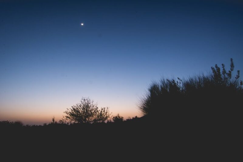 Exclusive Musical Evening at Desert Luxury Camp (NO CAMEL) - An Overview of the Experience