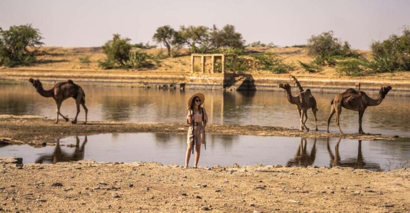 Exclusive Musical Evening at Desert Luxury Camp (NO CAMEL) - Detailed Itinerary Breakdown