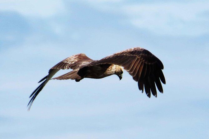 Exclusive : Muthurajawela Bird Watching Tour - A Closer Look at the Tour Experience