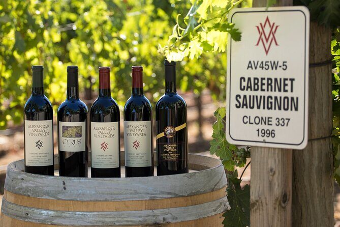 Exclusive Napa Valley Wine Tour - The Itinerary Breakdown and What to Expect