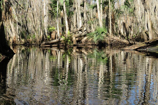 Exclusive Nature Escape Kayak Adventure on Blackwater Creek - Why This Tour Offers Great Value