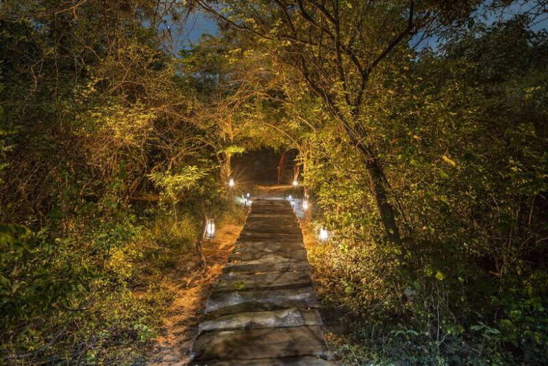Exclusive Over Night Glamping Experience and Nature Trail - The Sum Up: Who Should Consider This Tour?