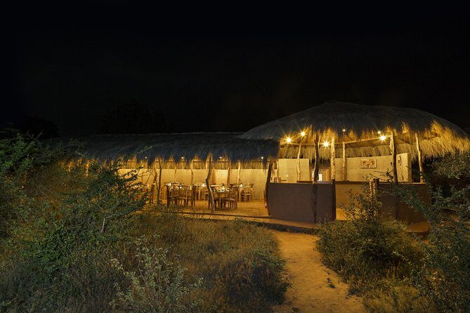 Exclusive : Overnight Leopard Safari with Luxury Glamping - An Authentic Safari Experience in Sri Lanka’s Yala National Park