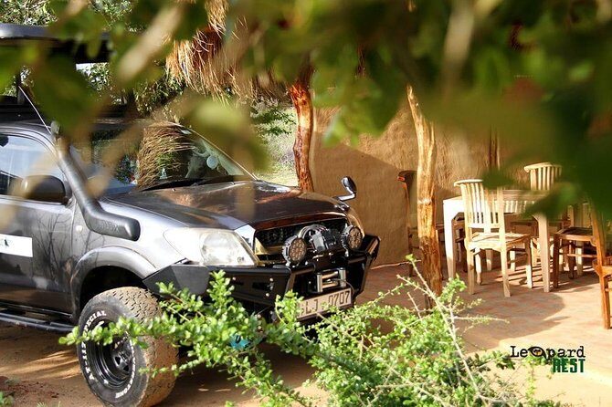 Exclusive : Overnight Leopard Safari with Luxury Glamping - What Could Be Better?