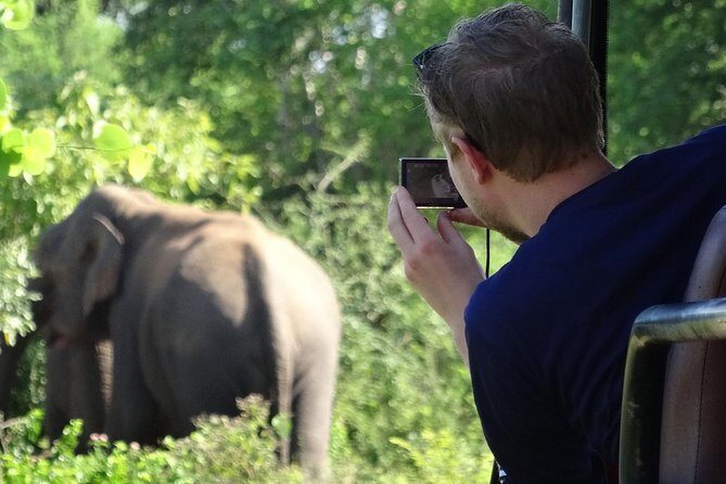 Exclusive : Overnight Leopard Safari with Luxury Glamping - Value for Money
