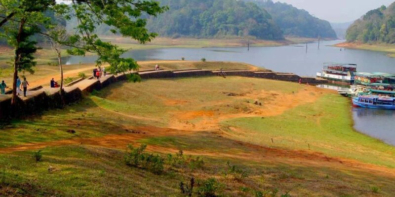 Exclusive Periyar Wildlife Sanctuary Tour(02 Nights/03 Days) - The Sum Up
