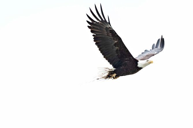 Exclusive Photography Tour Haines Departure - An In-Depth Look at the Experience