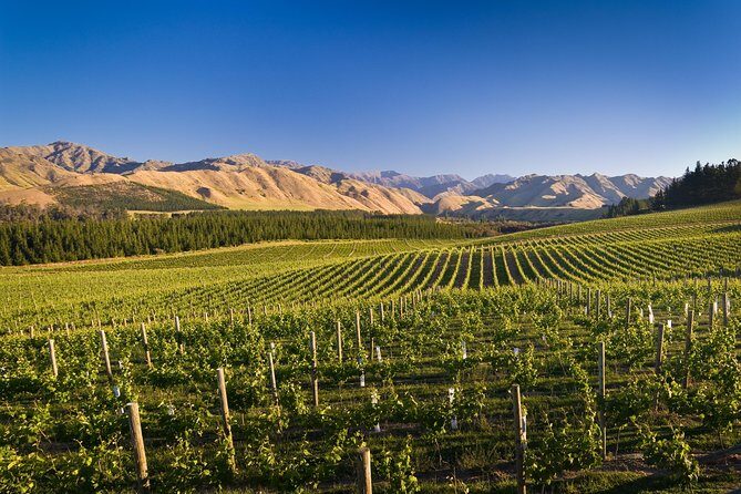 Exclusive Picton Wine & Scenic Adventure: VIP Cruise Experience - An In-Depth Look at the Picton VIP Wine & Scenic Tour
