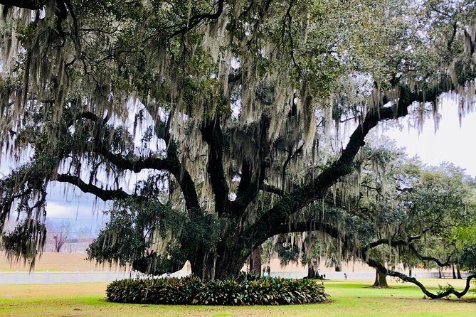 Exclusive Private Access Evergreen Plantation & City Tour - Who Will Love This Tour?