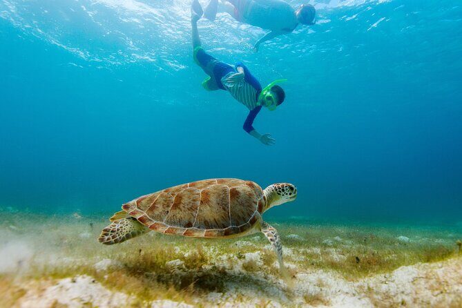 Exclusive Private Boat to El Cielo - The Value of a Private Tour
